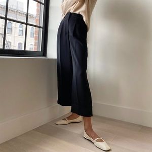 🌟 NWT Wilfred Prose Pants